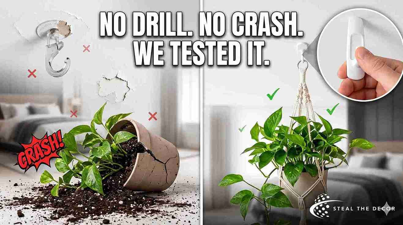 Guide to hanging plants from the ceiling without drilling in an apartment.