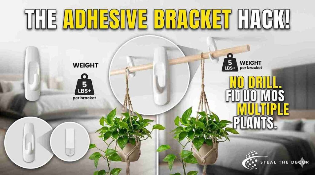 Golden pothos setup when hanging plants from the ceiling without drilling.