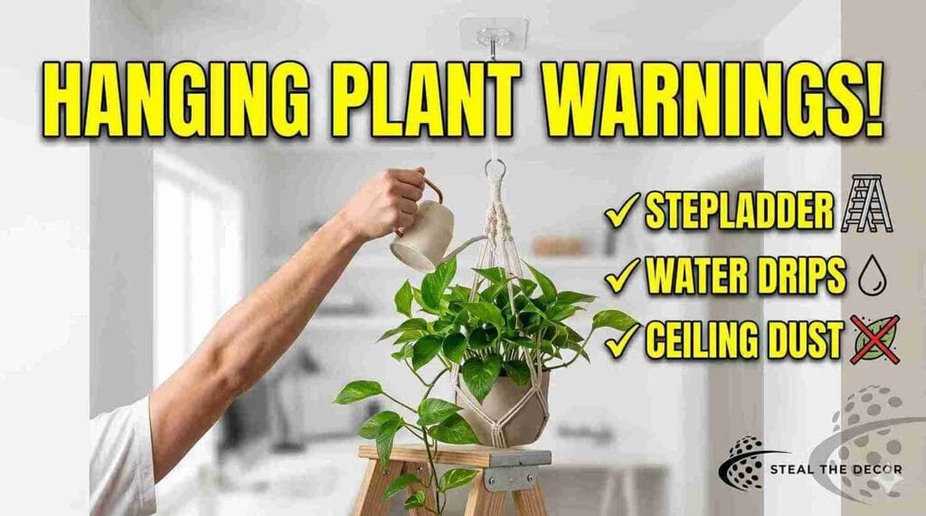 Safe indoor gardening hacks for hanging plants from the ceiling without drilling.