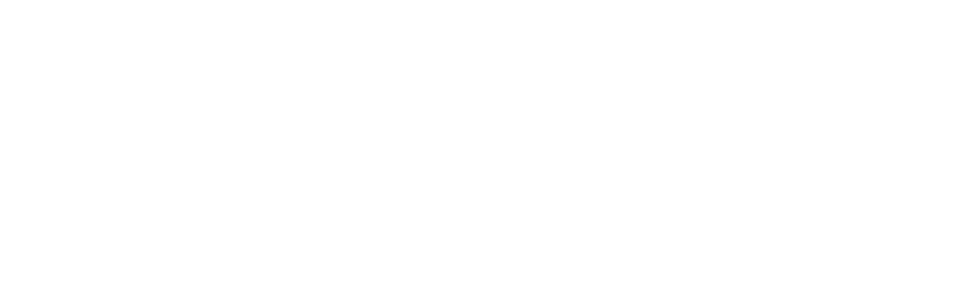 Steal The Decor logo